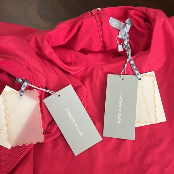 Antonio Melani.x Jennifer Sumko Rachel Shirred Taffeta A-Line Capelet Midi Dress - Picture 11 of 11